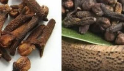 4 Secret Uses of Clove Spice You Need to Know