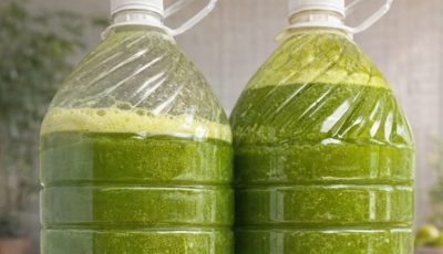 Green Detox Smoothie: Cucumber, Green Apple & Chayote for Natural Weight Loss and Digestion Support