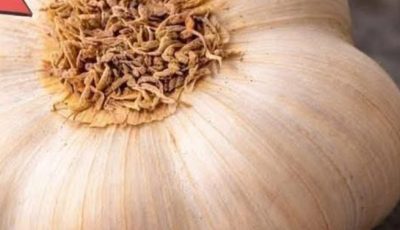 The Truth Behind “One Ingredient That Protects Against 25+ Diseases”