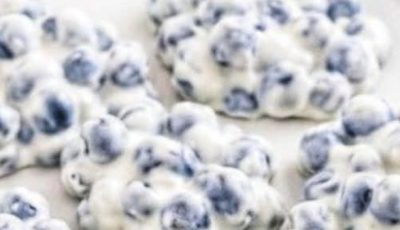 Frozen Blueberry Greek Yogurt Clusters