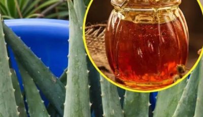🌿 Aloe Vera and Honey: Natural Remedies for Wellness – What Science Really Says