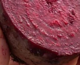 Beetroot and Ginger Juice: A Natural Energy Boost for Health and Wellness
