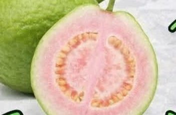 Guava Leaf Tea: Benefits, Properties, and How to Prepare It