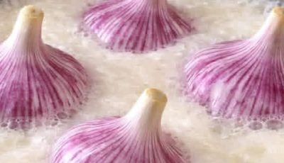Boiled Garlic in Milk: Helpful Habit or Risk You Should Know?