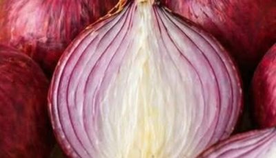 Pickled Red Onions Help Can Stabilize Blood Sugar Habits?