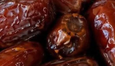 Search Results for: Consume 3 Dates Daily Health Benefits