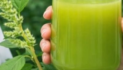 Search Results for: Herbal Leaf Drink Recipe