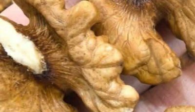 The Health Benefits of Walnuts: A Superfood for Heart, Brain, and Overall Well-being