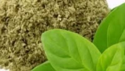 Oregano: The Small Plant with Big Health Benefits