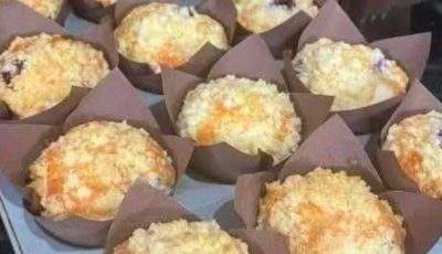 Blueberry Protein Muffins
