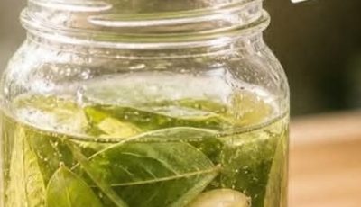 Guava Leaves and Garlic Force Blood Flow, Heart Rhythm, and Sugar Control