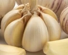 Garlic Kills 14 Types of Cancer & 13 Types of Infections