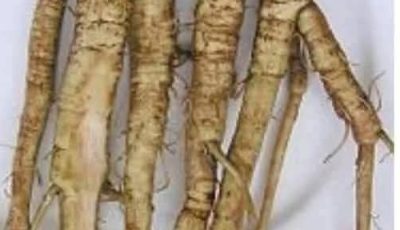 A plant that destroys cancer cells in just 48 hours! It’s 100 times more effective than chemotherapy…