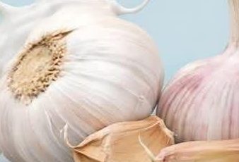 Search Results for: Garlic Milk: Health Benefits and Powerful Medicinal Recipes