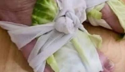 Cabbage Wraps: A Simple Remedy for Swollen Joints and Thyroid Issues