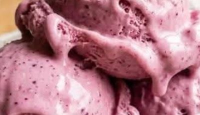 Berry Coconut Frozen Ice Cream