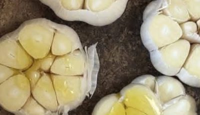 GARLIC: A Tiny Clove With Immense Power