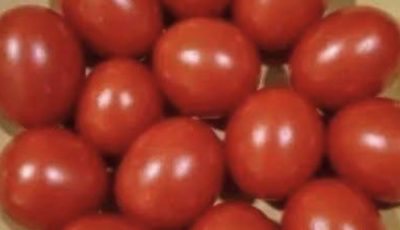 Eye Test!! Count The Tomatoes Is It 12 or 13 ???