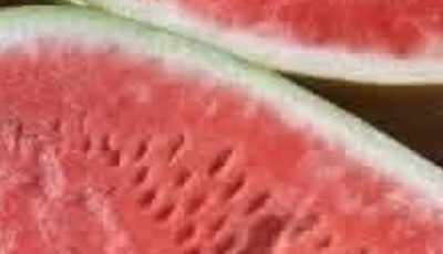 You cut open a watermelon and saw cracks? Stop eating it immediately! Here’s what it means!