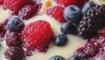 Search Results for: High-Protein Triple Berry Bake