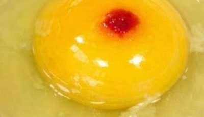 I just cracked an egg to make breakfast and saw this red spot in the yolk. It really grossed me out and now I’m wondering if I should toss the whole carton or just scoop it out and cook it anyway. Wha