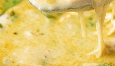 Crock Pot Green Enchilada Chicken Soup