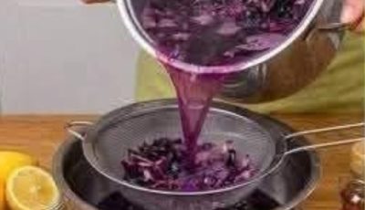 Purple Red Cabbage & Blueberry Drink