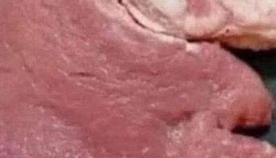 Search Results for: What do you see first