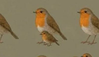 Search Results for: The Number Of Robins You See Reveals Who Walks By Your Side