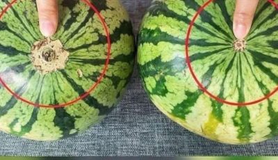 No more bland watermelons! Here’s a sure-fire visual guide to finding the sweetest fruit at the market.
