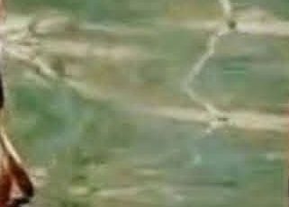 No one noticed this huge blunder in Little House on the Prairie .Take a closer look and check out the first comment below
