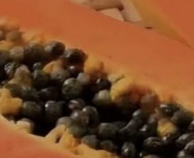Papaya Seeds: How to Use Them Safely for Digestion, Gut Health, and Inflammation Support