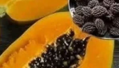 Papaya Seeds for Intestinal Parasites: A Traditional Natural Remedy for Digestive Health